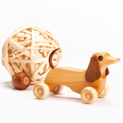cute wooden dog pull and push toy