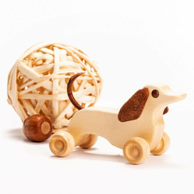 cute wooden dog pull and push toy